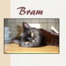 Bram