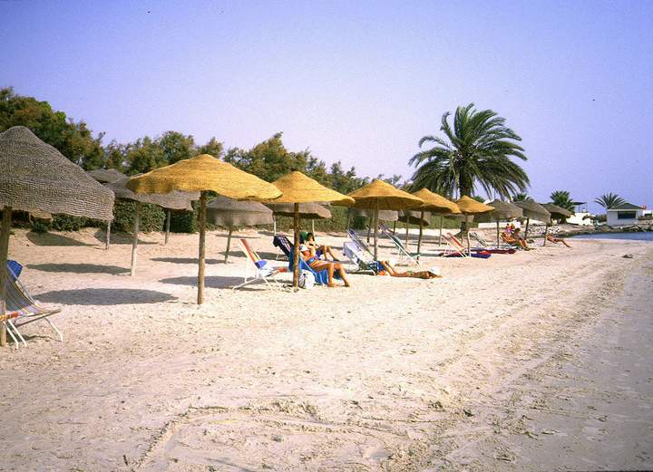 198807_012diatun2.jpg