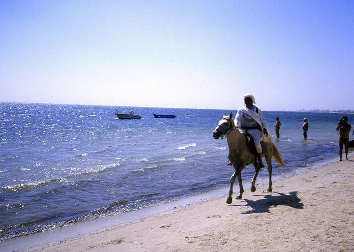198807_013diatun2.jpg