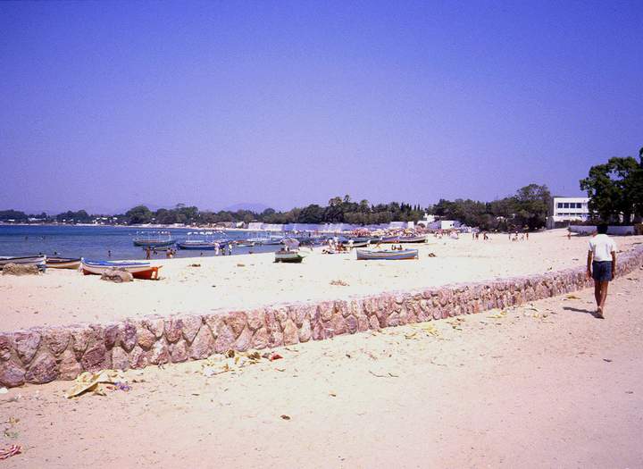 198807_024diatun2.jpg