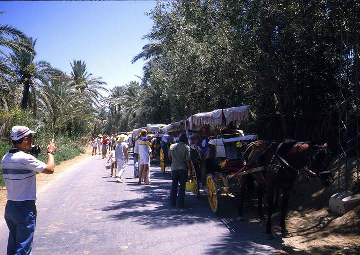 198807_030diatun2.jpg