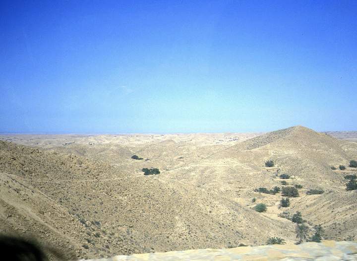 198807_033diatun2.jpg