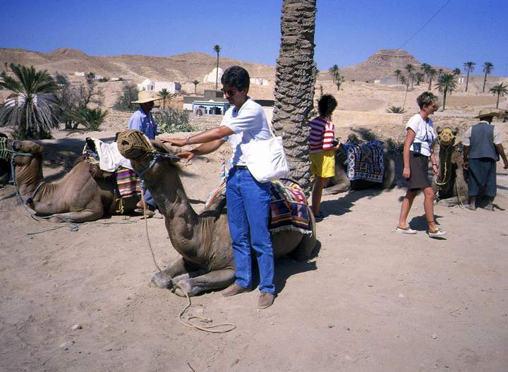 198807_038diatun2.jpg