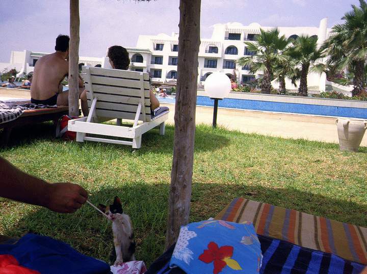 198807_045diatun2.jpg
