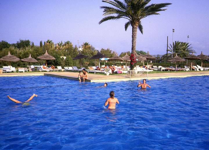 198807_047diatun2.jpg