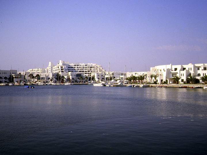 198807_050diatun2.jpg