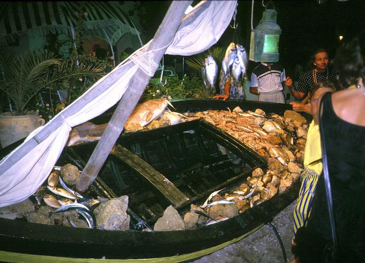 198807_058diatun2.jpg