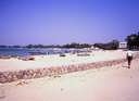 198807_024diatun2.jpg