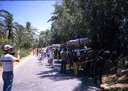 198807_030diatun2.jpg
