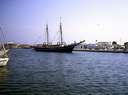 198807_052diatun2.jpg