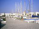 198807_053diatun2.jpg