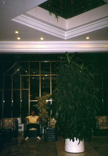 198907_011diaturk.jpg