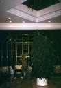 198907_011diaturk.jpg