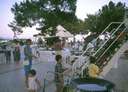 198907_037diaturk.jpg