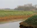 dsc00426.jpg