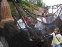 dsc10771.jpg