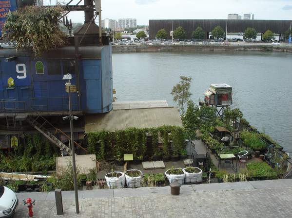 dsc08926.jpg