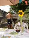dsc06541.jpg