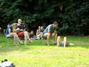 dsc06775corr.jpg
