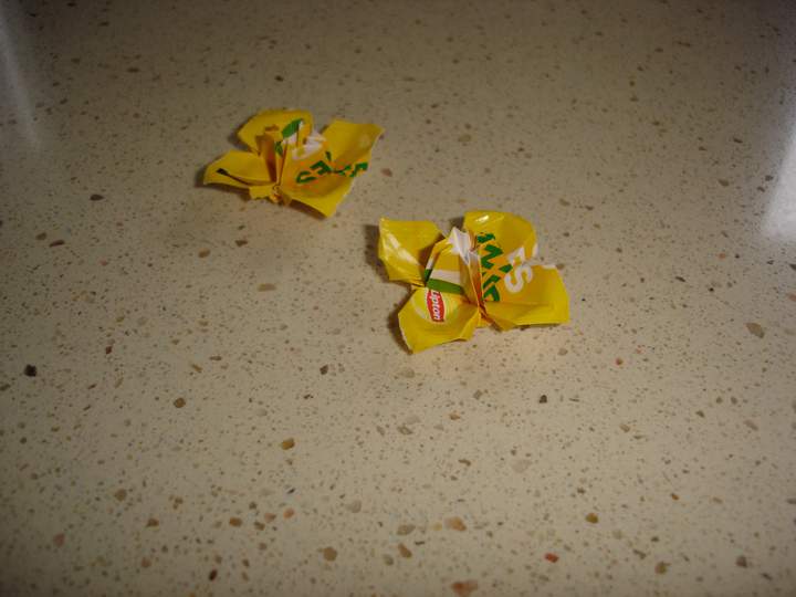 dsc00393.jpg