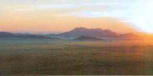 The Desert Homestead and Horse Trails