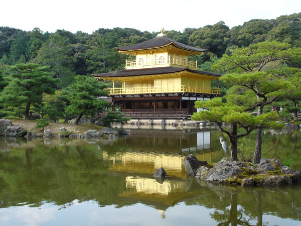 Please wait while the picture is loading