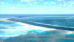 The Great Barrier Reef